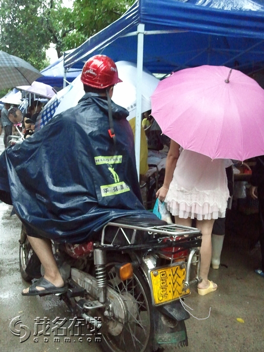 WP_001239.jpg