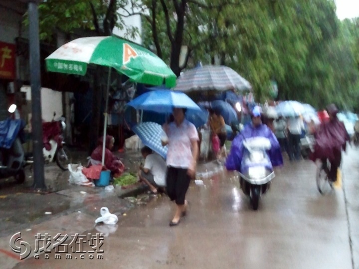 WP_001241.jpg