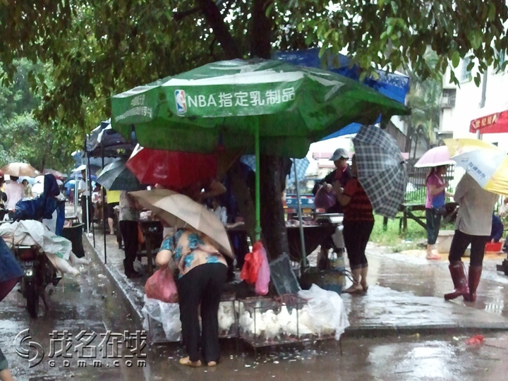 WP_001245.jpg
