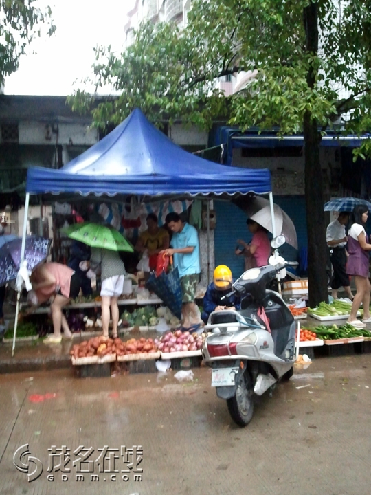 WP_001246.jpg
