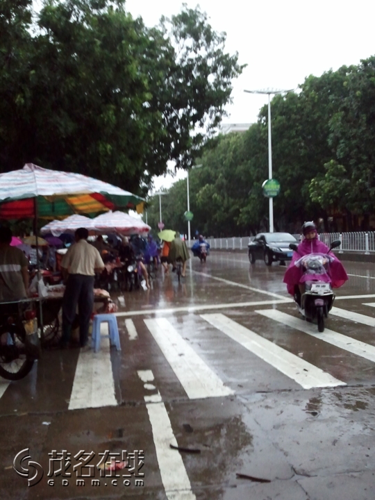 WP_001267.jpg
