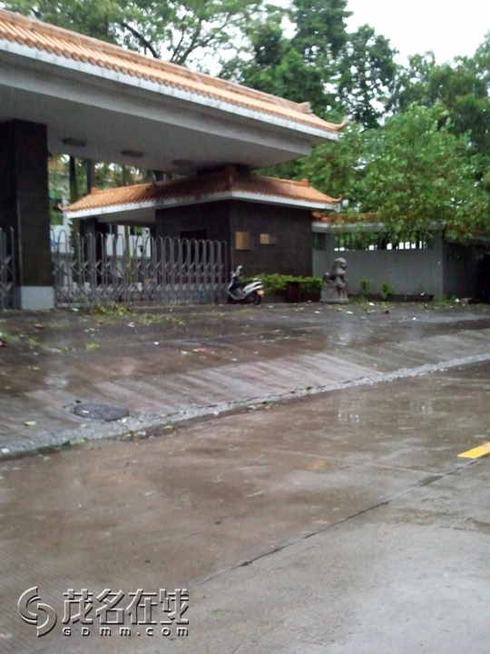 WP_001254.jpg