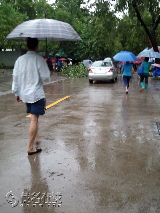 WP_001256.jpg