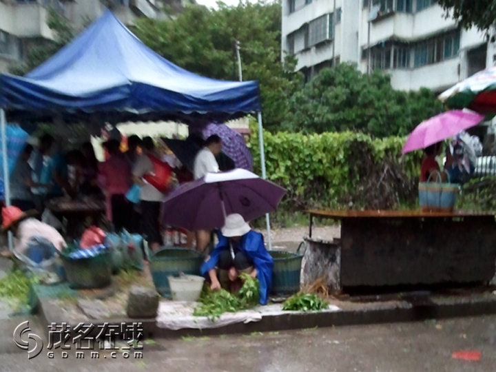 WP_001269.jpg