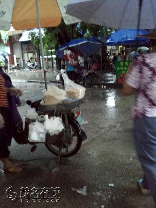 WP_001272.jpg