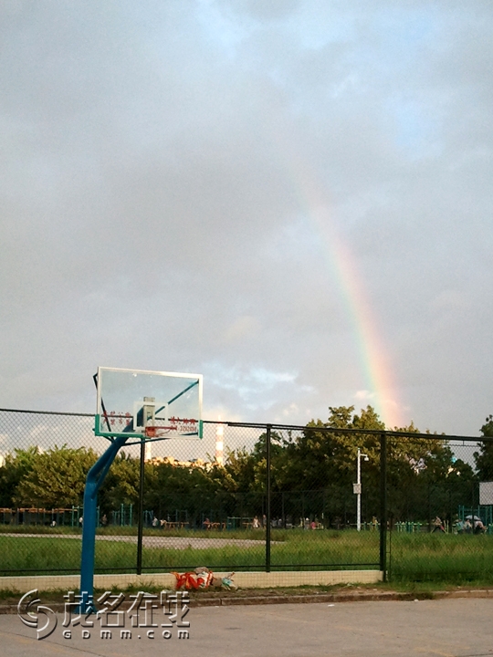 WP_001336.jpg