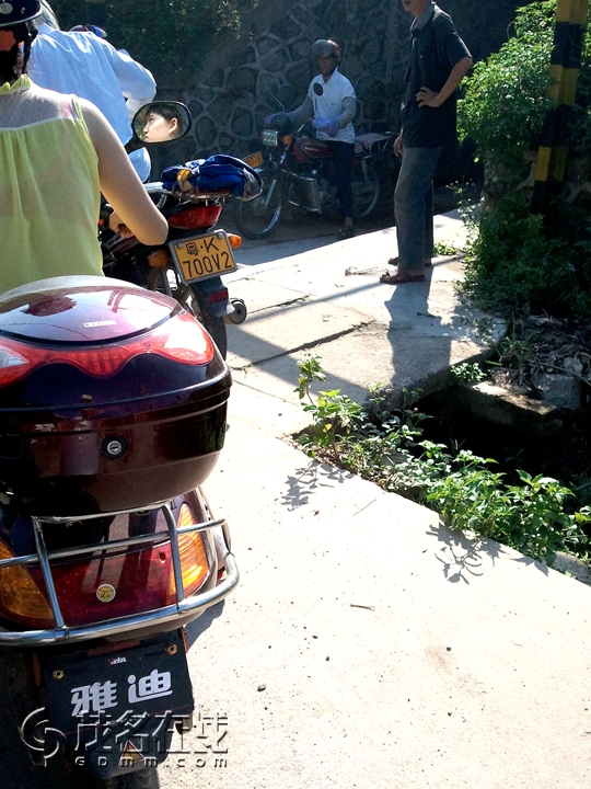 WP_001434.jpg