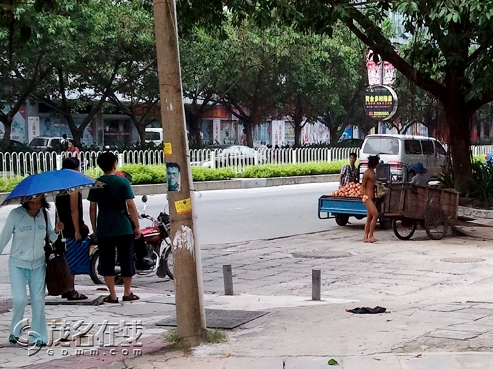 WP_001324.jpg