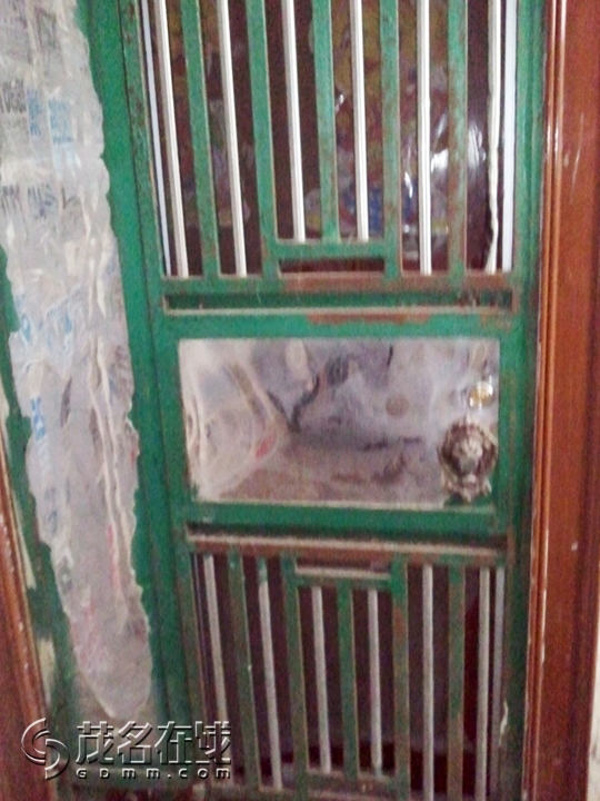 WP_001556.jpg