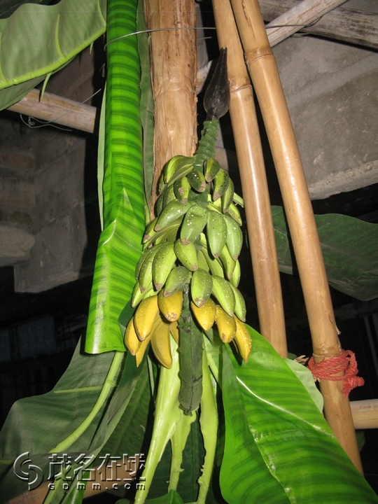Ƭ 034.jpg