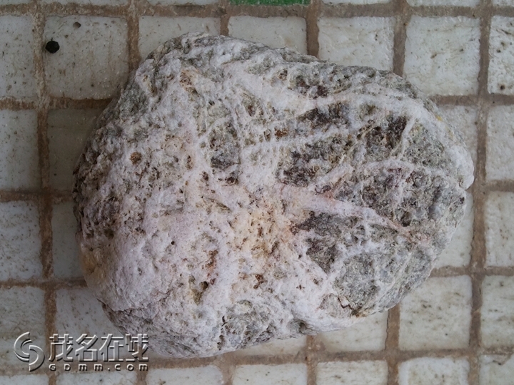 WP_001709.jpg