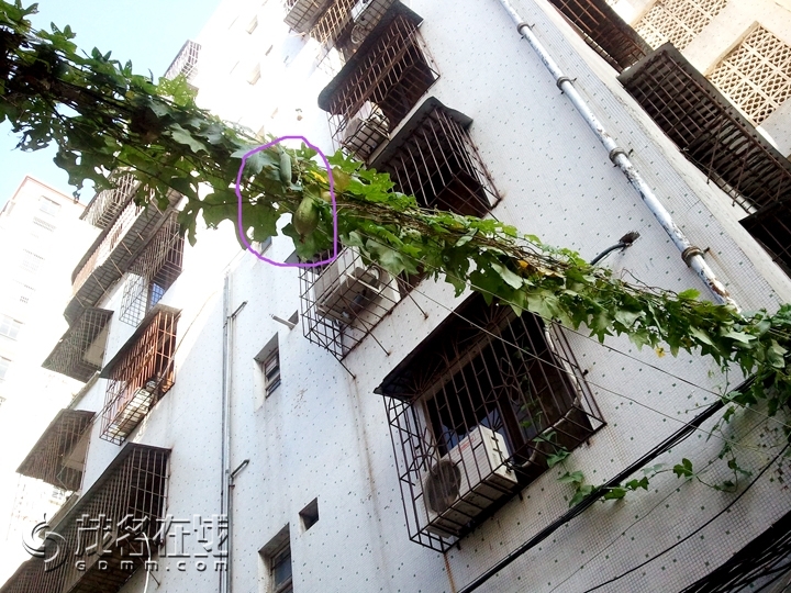 WP_001753.jpg