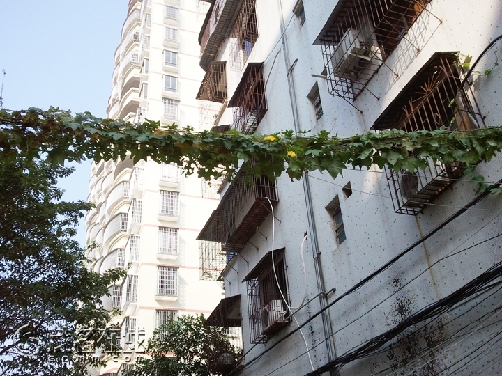 WP_001735.jpg