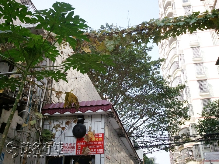WP_001736.jpg
