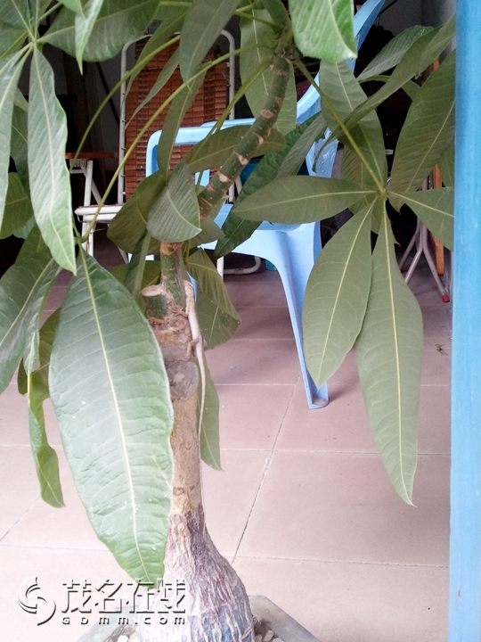 WP_001639.jpg