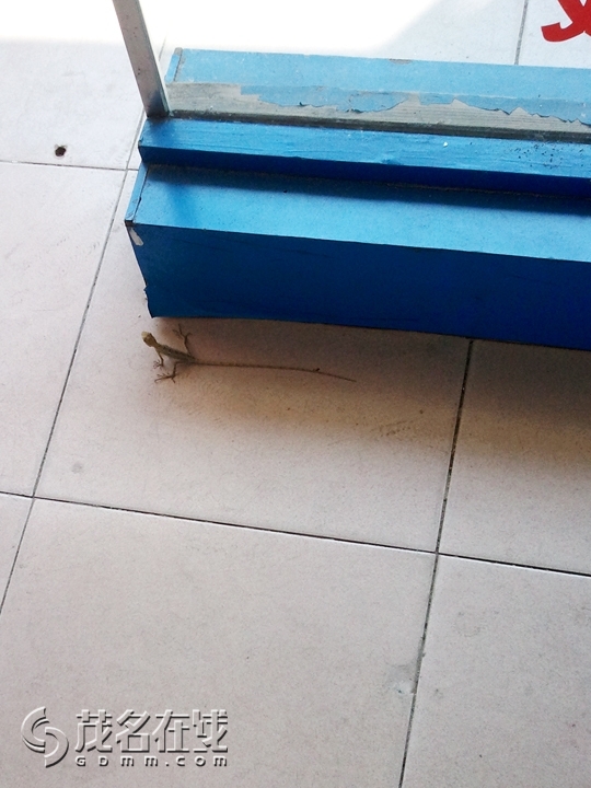WP_001628.jpg