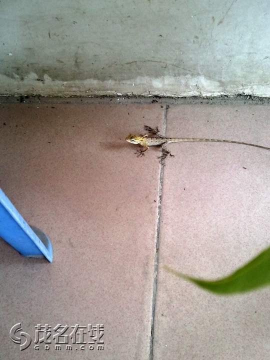 WP_001630.jpg