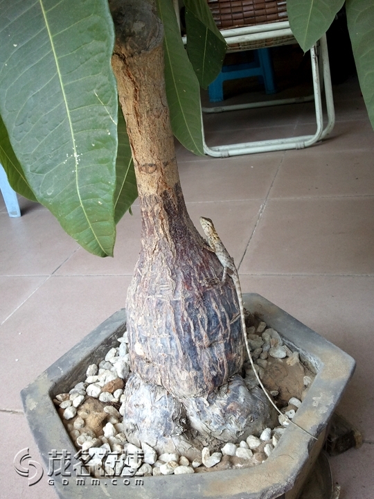 WP_001637.jpg