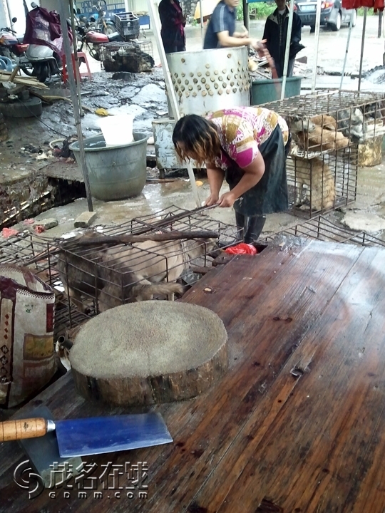 WP_002098.jpg