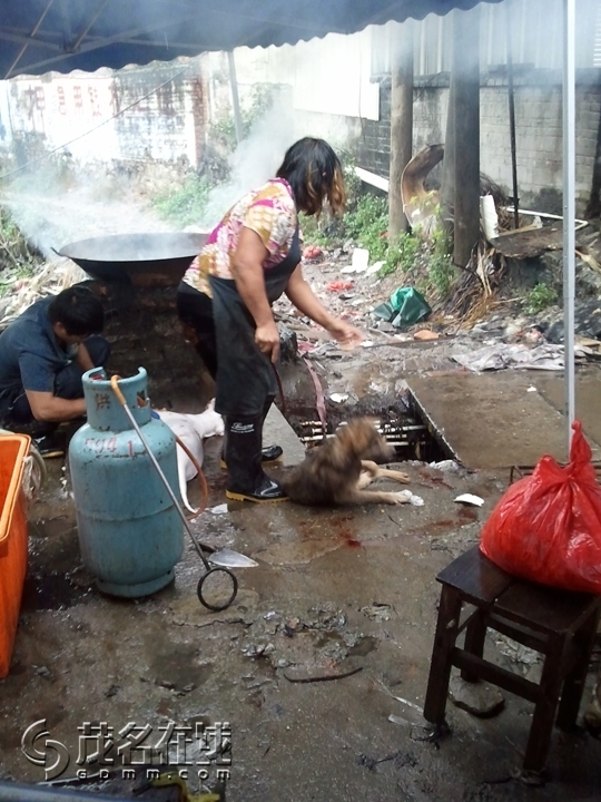 WP_002103.jpg