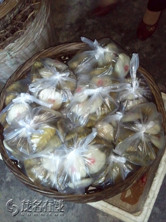 WP_002208.jpg