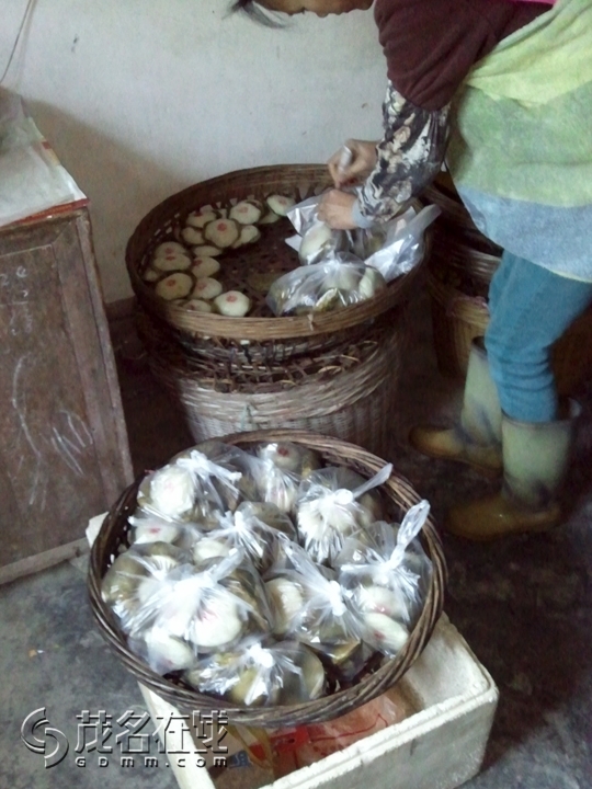 WP_002178.jpg