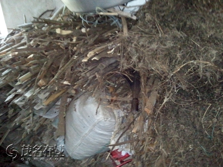 WP_002199.jpg
