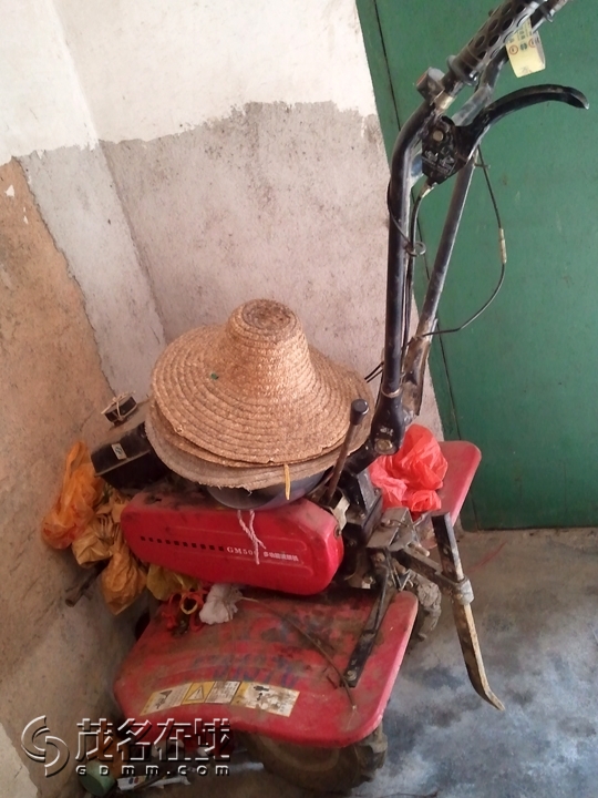 WP_002184.jpg