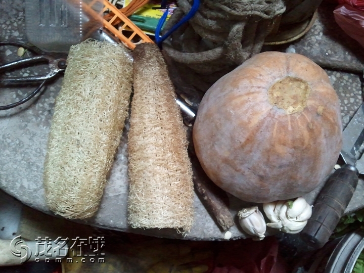 WP_002243.jpg