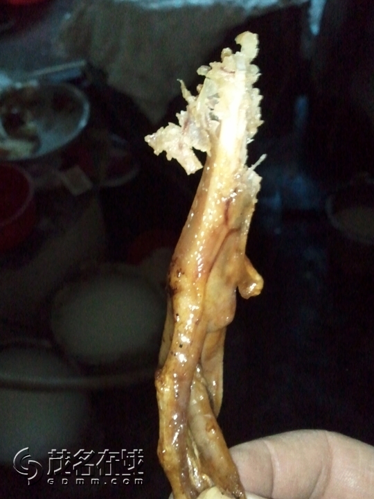 WP_002228.jpg