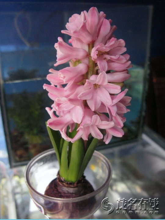 照片 012.jpg
