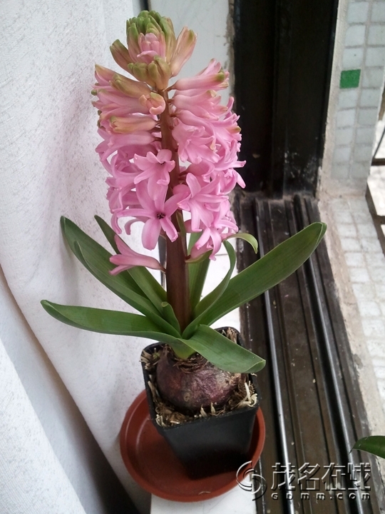 WP_002366.jpg