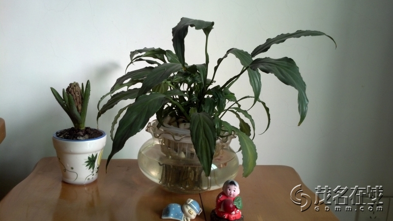 2014-01-16_17-01-18_231.jpg