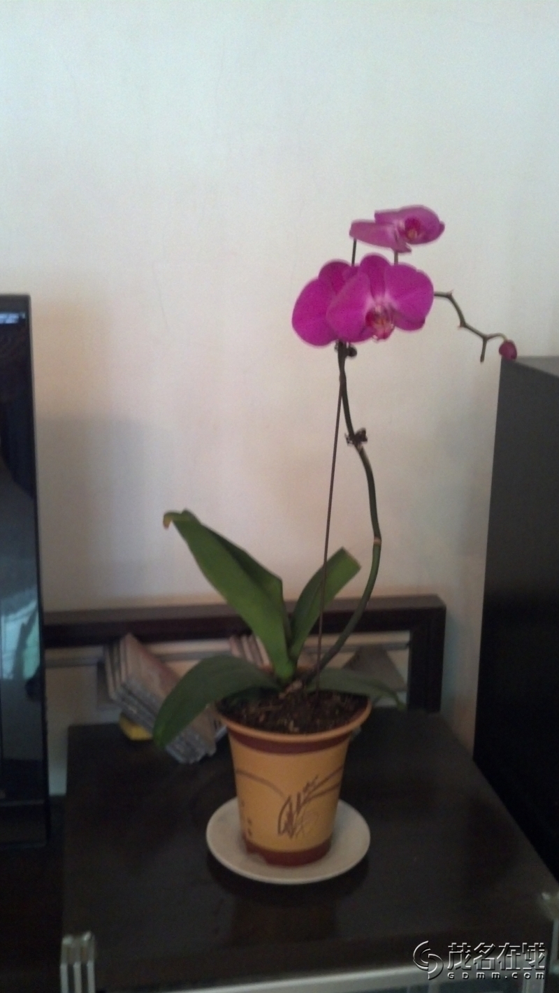 2014-01-16_17-10-52_291.jpg