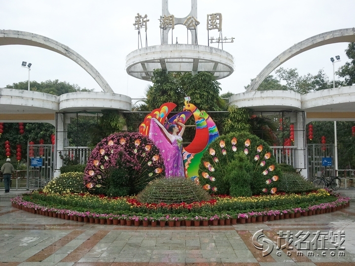 WP_002546.jpg