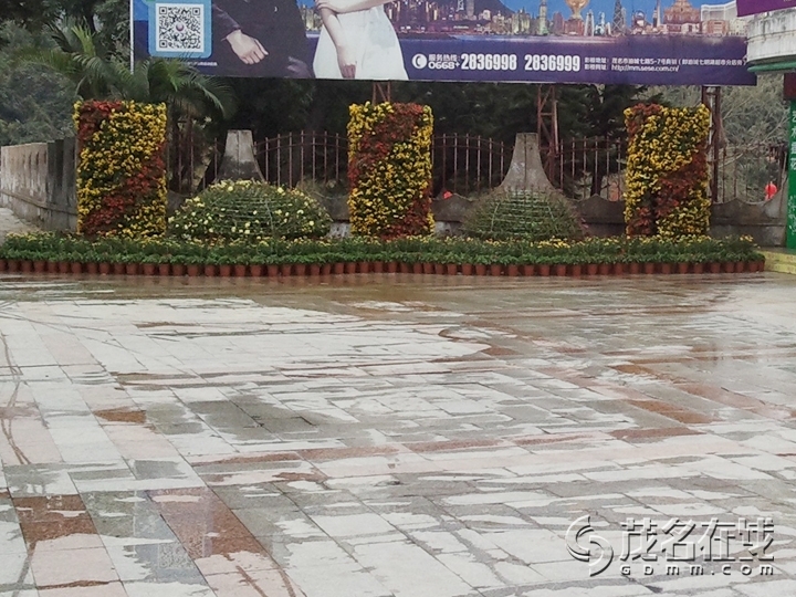 WP_002551.jpg