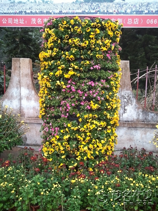 WP_002555.jpg