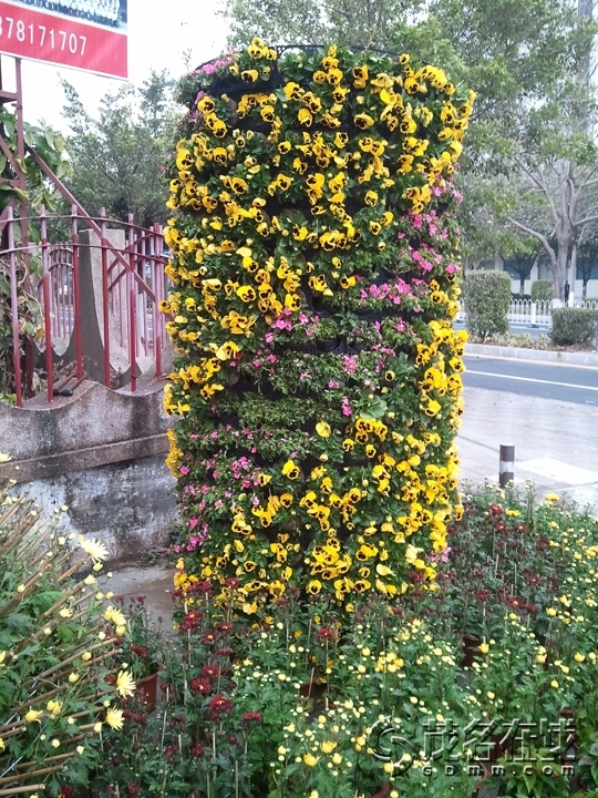 WP_002557.jpg