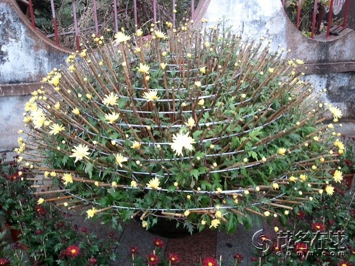 WP_002558.jpg