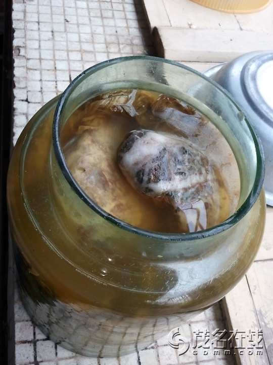 WP_002596.jpg