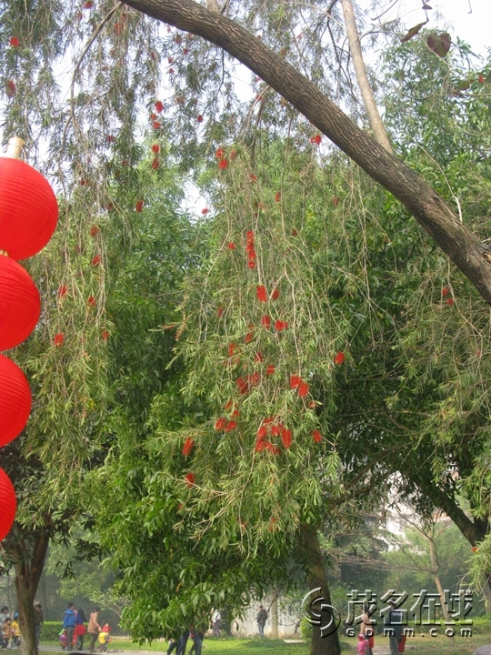 Ƭ 061.jpg