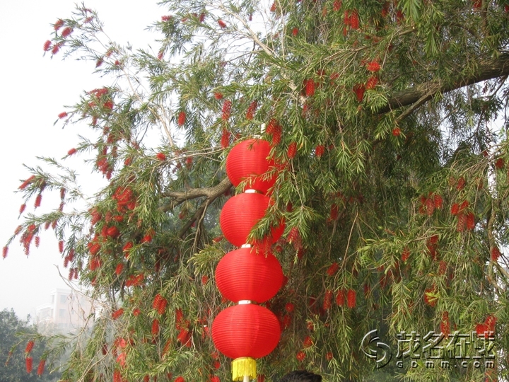 Ƭ 067.jpg