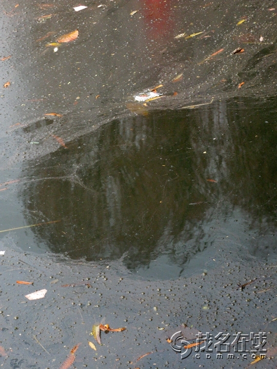 Ƭ 051.jpg