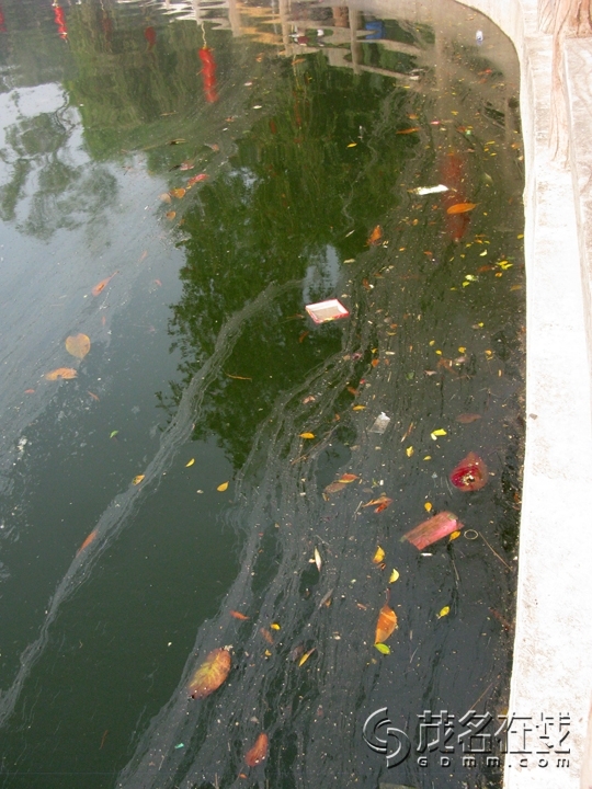 Ƭ 058.jpg