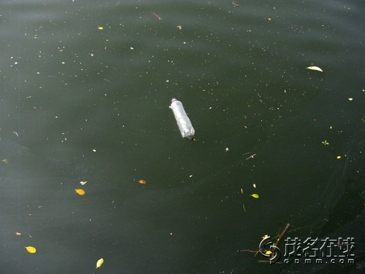 Ƭ 086.jpg