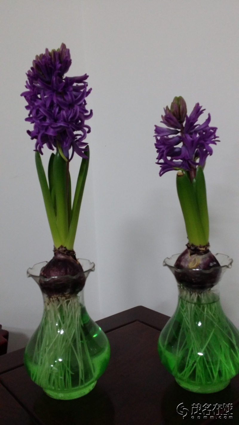 20140214_191105.jpg