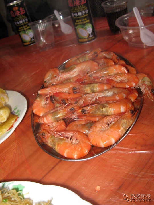 Ƭ 088.jpg