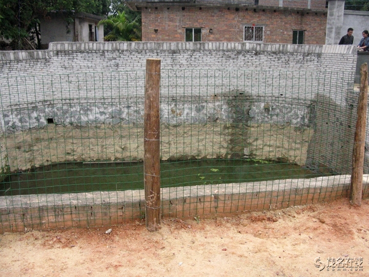 Ƭ 022.jpg