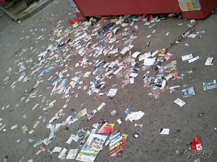 WP_002913.jpg