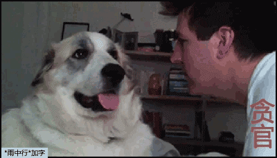 1396379670999.gif